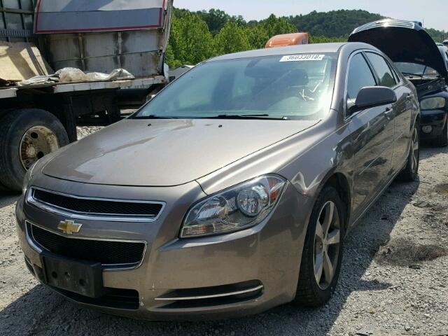1G1ZC5E16BF170496 - 2011 CHEVROLET MALIBU 1LT ოქროსფერი ფოტო 2