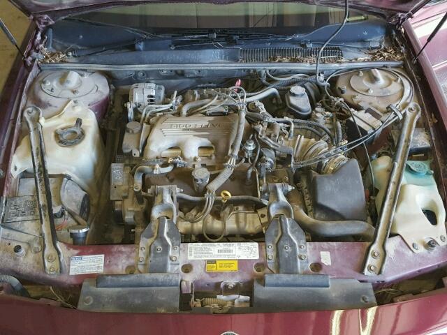 2G4WB12M3T1412492 - 1996 BUICK REGAL CUST BURGUNDY photo 7