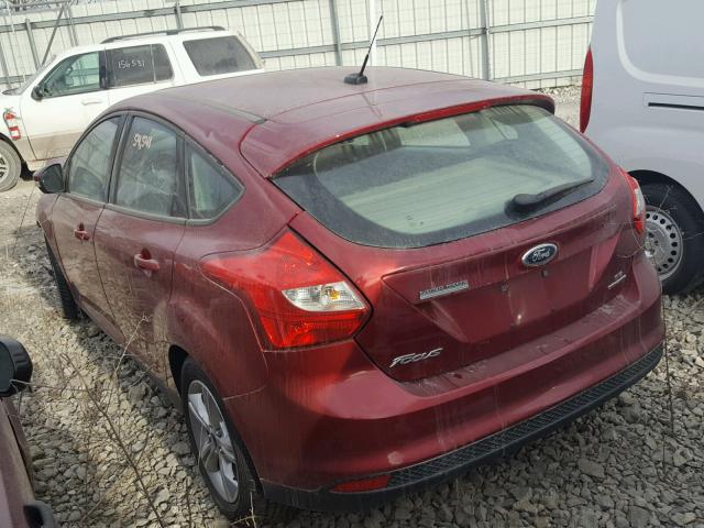 1FADP3K2XDL210242 - 2013 FORD FOCUS RED photo 3