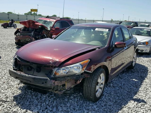 1HGCP36899A048080 - 2009 HONDA ACCORD EXL RED photo 2