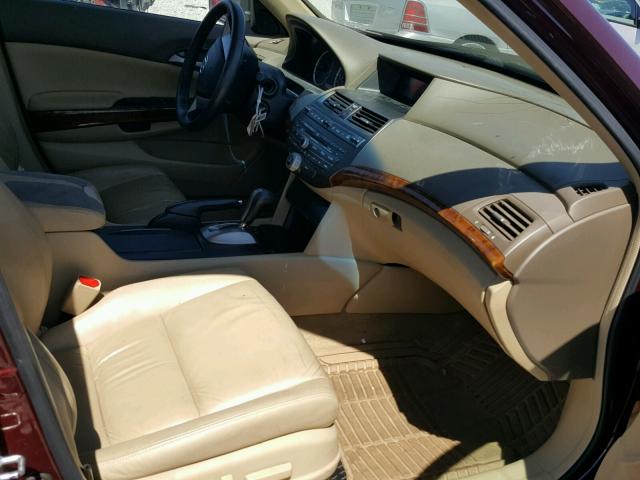 1HGCP36899A048080 - 2009 HONDA ACCORD EXL RED photo 5