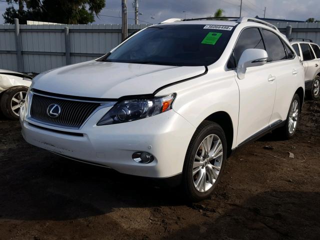 JTJBC1BA9C2433124 - 2012 LEXUS RX 450 WHITE photo 2