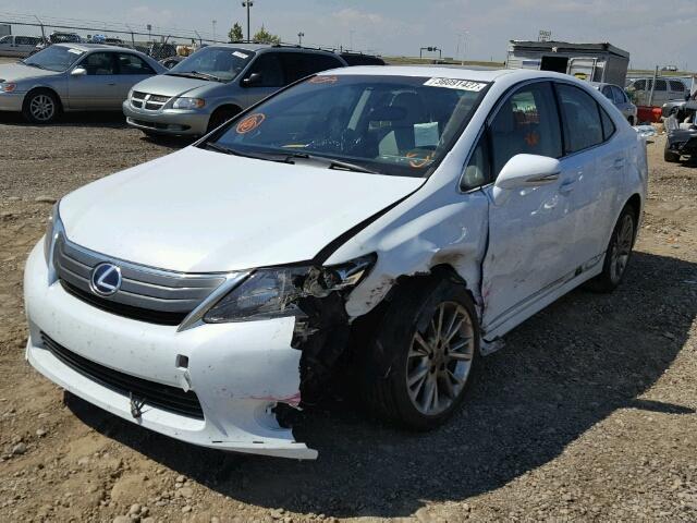 JTHBB1BA3A2013862 - 2010 LEXUS HS 250H WHITE photo 2