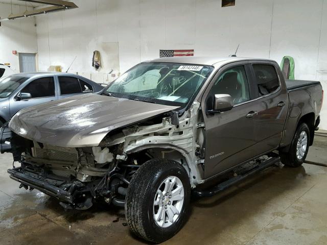 1GCGTCEN5H1188662 - 2017 CHEVROLET COLORADO L BROWN photo 2
