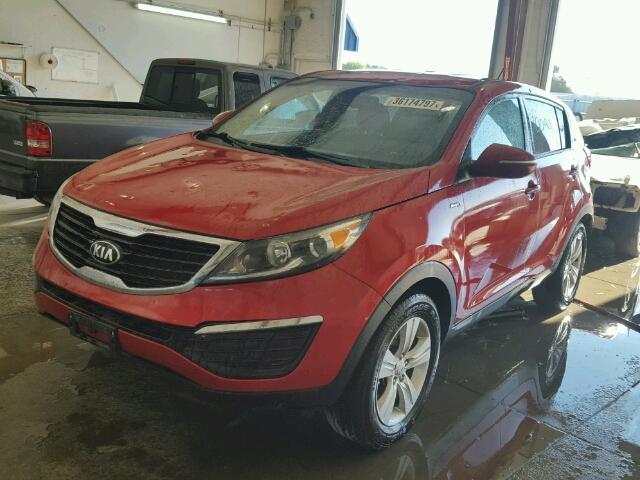 KNDPBCA20D7470455 - 2013 KIA SPORTAGE L RED photo 2