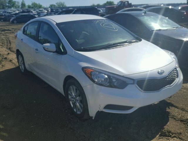 KNAFX4A68E5218310 - 2014 KIA FORTE LX WHITE photo 1