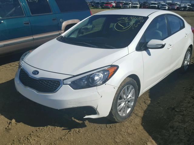 KNAFX4A68E5218310 - 2014 KIA FORTE LX WHITE photo 2