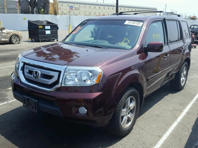 5FNYF3H75BB051938 - 2011 HONDA PILOT EXLN MAROON photo 2