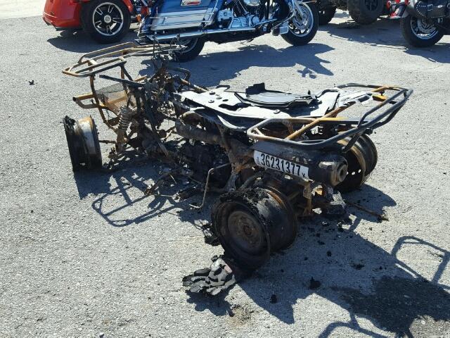 1HFTE3708B4201507 - 2011 HONDA TRX420 BURN photo 3