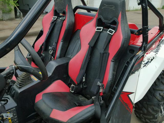 4UF13MPVXDT307046 - 2013 ARCTIC CAT WILDCAT 红色 照片 9