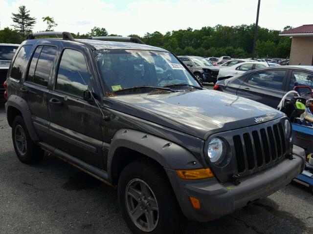 1J4GL38K86W197125 - 2006 JEEP LIBERTY RE GREEN photo 1