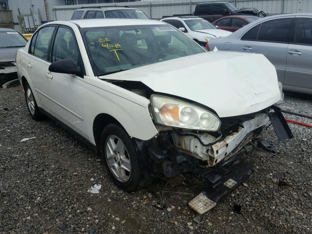 1G1ZT52804F229160 - 2004 CHEVROLET MALIBU LS Ağ foto 1