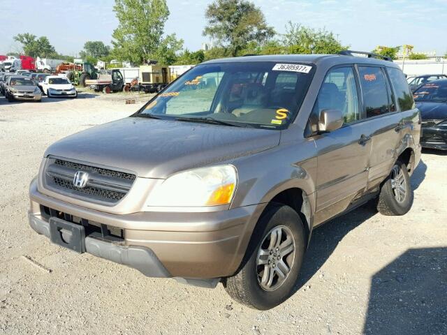 2HKYF18543H528588 - 2003 HONDA PILOT EXL GOLD photo 2