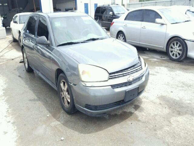 1G1ZT62855F305656 - 2005 CHEVROLET MALIBU MAX GRAY photo 1