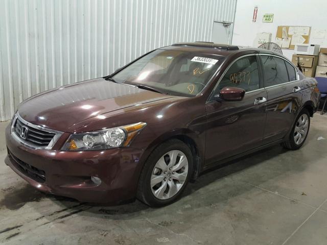 5KBCP3F80AB013276 - 2010 HONDA ACCORD EXL MAROON photo 2