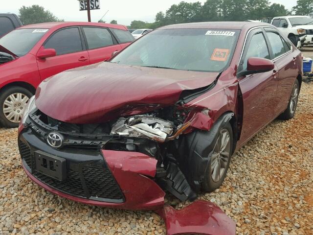 4T1BF1FK7GU573465 - 2016 TOYOTA CAMRY LE RED photo 2