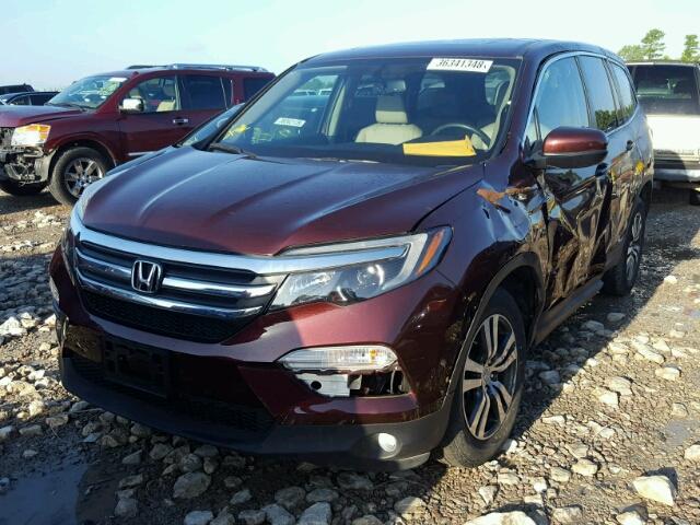 5FNYF5H75GB003651 - 2016 HONDA PILOT EXLN BURGUNDY photo 2