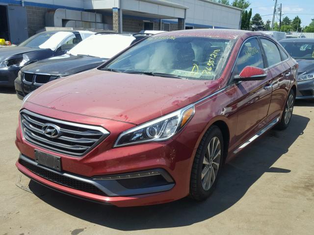 5NPE34AF4FH095133 - 2015 HYUNDAI SONATA SPO RED photo 2