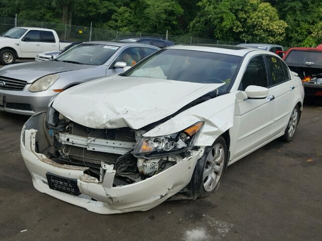 1HGCP36858A010120 - 2008 HONDA ACCORD EXL WHITE photo 2