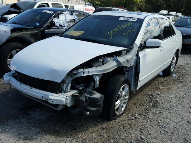 1HGCM56776A146919 - 2006 HONDA ACCORD EX 白色 照片 2
