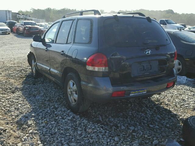 KM8SC13D95U934982 - 2005 HYUNDAI SANTA FE G BLUE photo 3