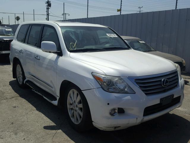 JTJHY00W184013146 - 2008 LEXUS LX 570 WHITE photo 1