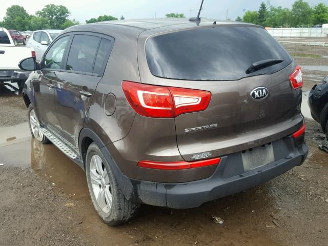 KNDPB3A26D7532893 - 2013 KIA SPORTAGE B BROWN photo 3