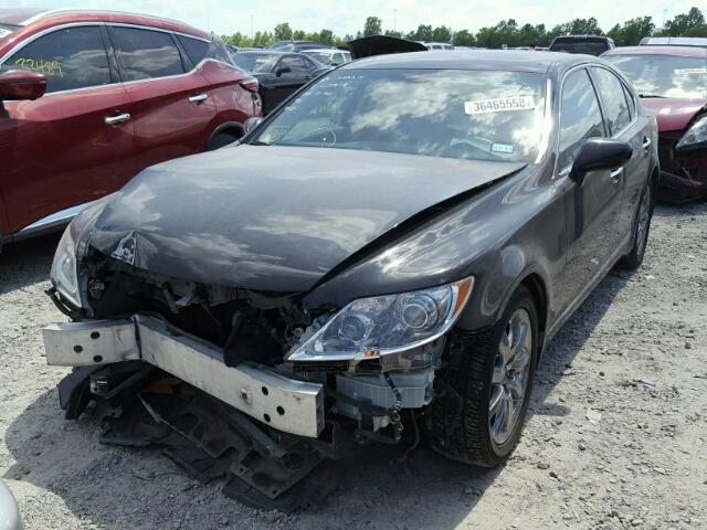 JTHBL46F985080351 - 2008 LEXUS LS 460 BLACK photo 2