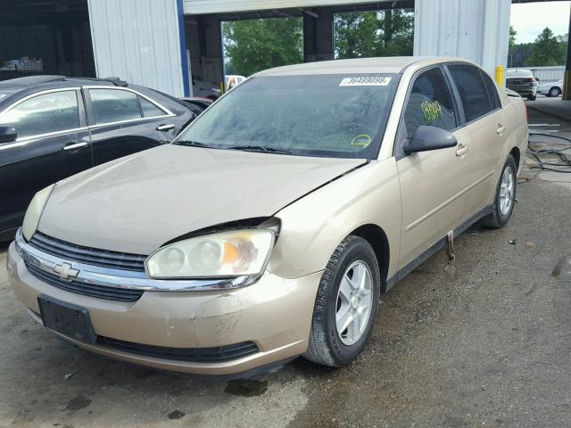 1G1ZT54825F215713 - 2005 CHEVROLET MALIBU LS GOLD photo 2