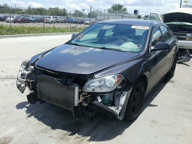 1G1ZB5E12BF166948 - 2011 CHEVROLET MALIBU LS 紫色 照片 2