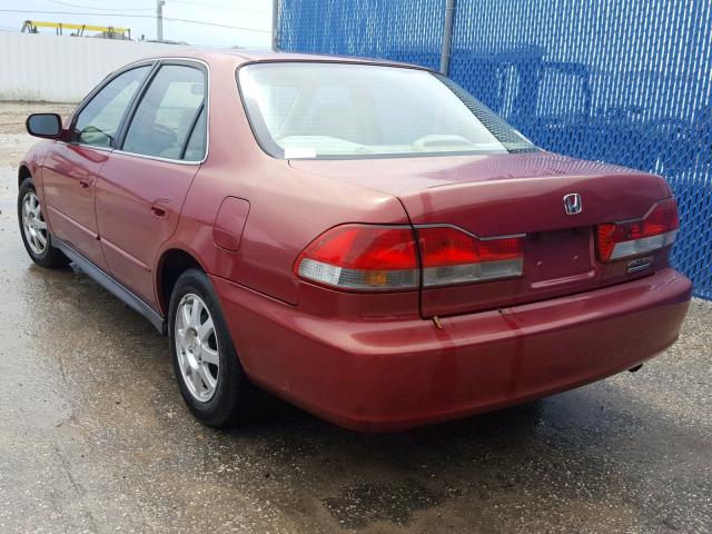 JHMCG56732C033200 - 2002 HONDA ACCORD SE RED photo 3