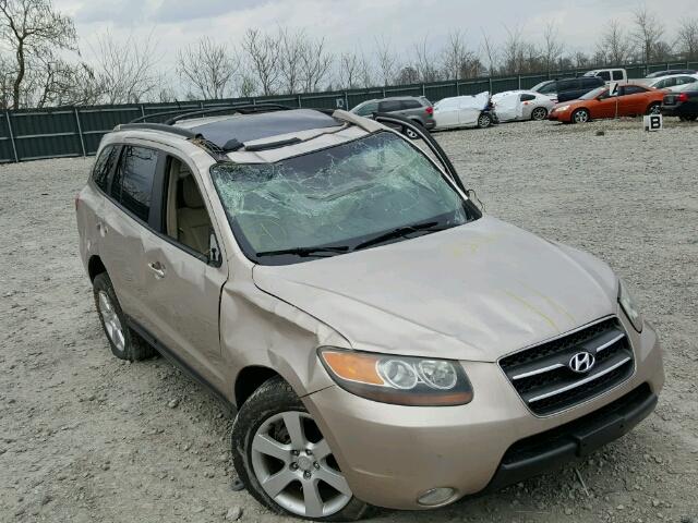 5NMSH13E67H020830 - 2007 HYUNDAI SANTA FE S GOLD photo 10