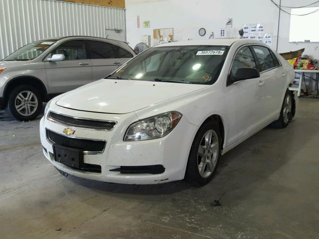 1G1ZB5E16BF252733 - 2011 CHEVROLET MALIBU LS 白色 照片 2