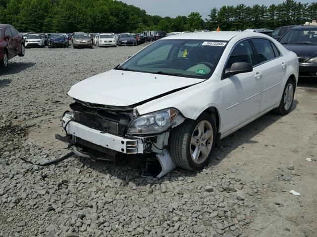 1G1ZB5E04CF240153 - 2012 CHEVROLET MALIBU LS Ağ foto 2