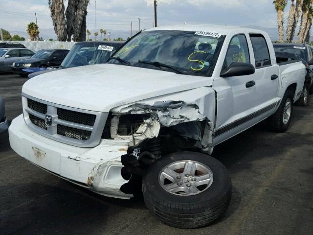 1D7RE3GK8BS673701 - 2011 DODGE DAKOTA SLT WHITE photo 2