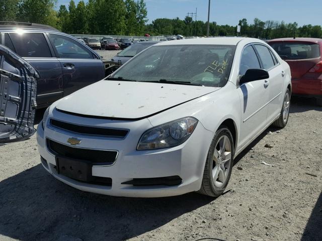 1G1ZB5E02CF282496 - 2012 CHEVROLET MALIBU LS WHITE photo 2