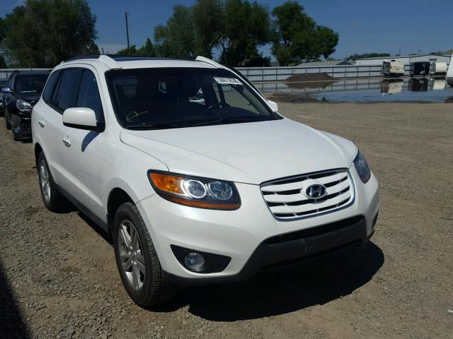 5XYZKDAG0BG026227 - 2011 HYUNDAI SANTA FE L WHITE photo 1