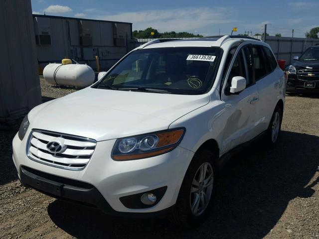 5XYZKDAG0BG026227 - 2011 HYUNDAI SANTA FE L WHITE photo 2