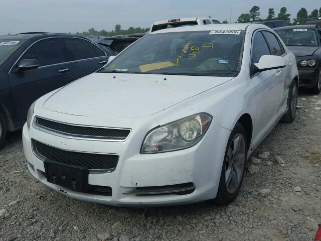 1G1ZH57B19F166325 - 2009 CHEVROLET MALIBU 1LT 白色 照片 2