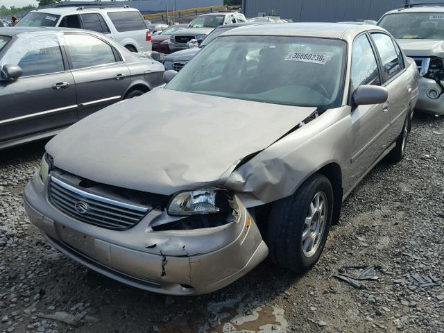 1G1NE52M3X6210161 - 1999 CHEVROLET MALIBU LS GOLD photo 2