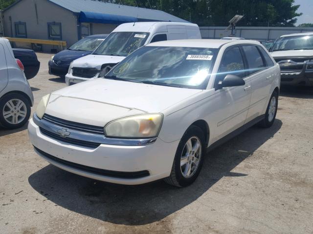 1G1ZT62855F281911 - 2005 CHEVROLET MALIBU MAX 白色 照片 2