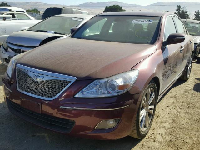 KMHGC46F79U045253 - 2009 HYUNDAI GENESIS 4. BURGUNDY photo 2