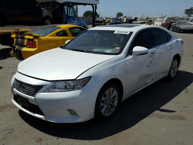 JTHBW1GG0D2035257 - 2013 LEXUS ES 300H WHITE photo 2