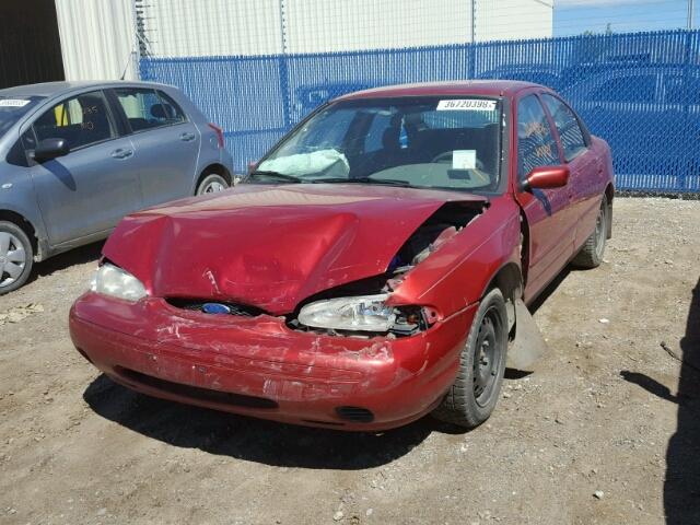 1FALP6533TK172388 - 1996 FORD CONTOUR GL RED photo 2