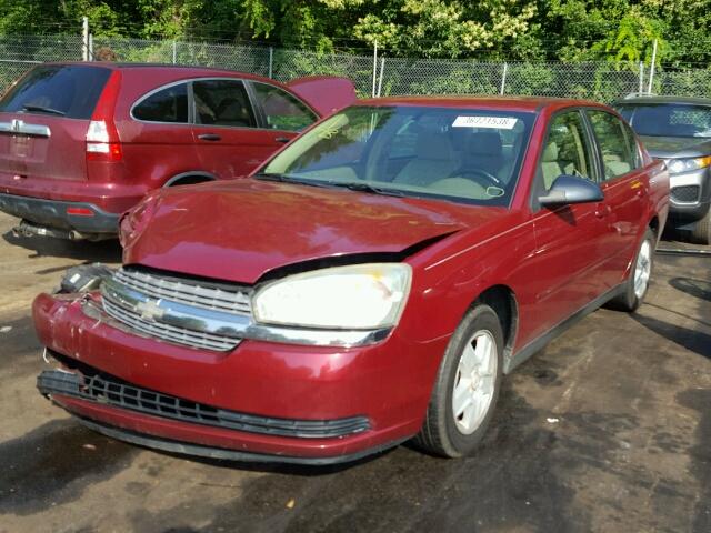 1G1ZT52855F176456 - 2005 CHEVROLET MALIBU LS RED photo 2