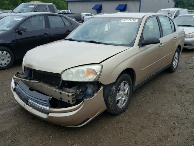 1G1ZT52815F136763 - 2005 CHEVROLET MALIBU LS Qəhvəyi foto 2