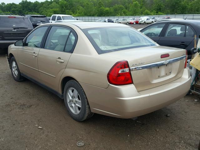 1G1ZT52815F136763 - 2005 CHEVROLET MALIBU LS Qəhvəyi foto 3