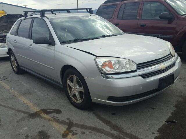 1G1ZT64864F172840 - 2004 CHEVROLET MALIBU MAX GRAY photo 1