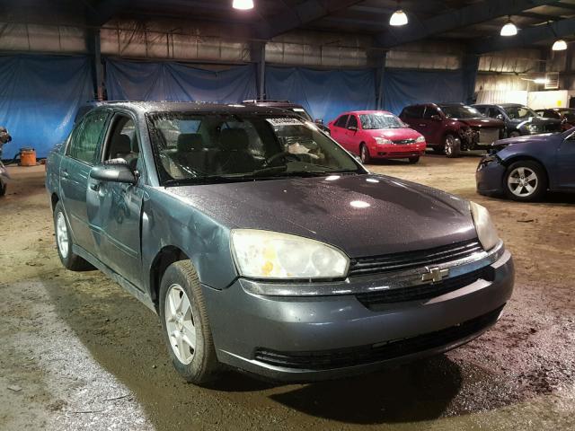 1G1ZT52895F316427 - 2005 CHEVROLET MALIBU LS ნაცრისფერი ფოტო 1