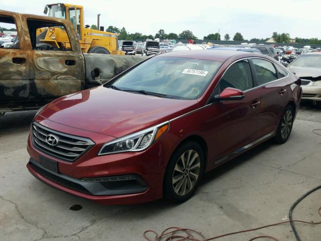 5NPE34AF7GH367739 - 2016 HYUNDAI SONATA SPO RED photo 2